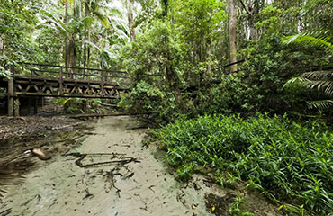 Fraser Island Beach Houses